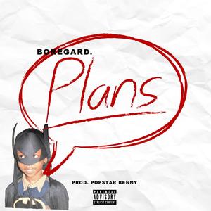 Plans (Explicit)