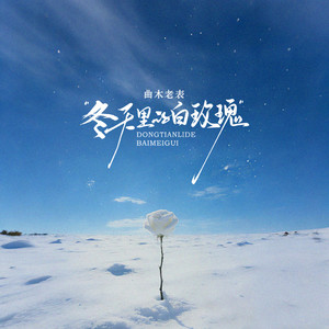 冬天里的白玫瑰 (就算大雪飞)