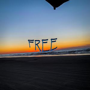 FREE (feat. DYLASTEIN)