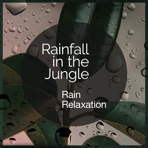 Rainfall in the Jungle