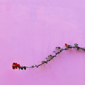 荨麻疹