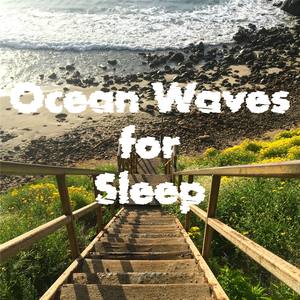 Ocean Waves for Sleep from Point Dume Beach Malibu