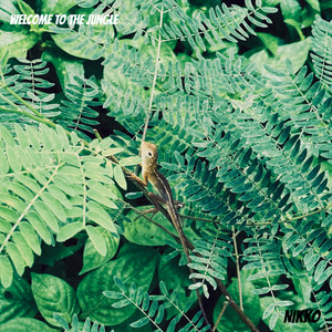 Welcome to the JUNGLE (Original Mix)