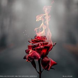 Dlala Ngam (feat. Nomvelo)