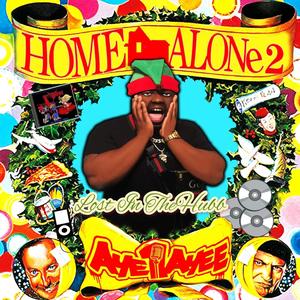 Home Alone2 (Lost In The Hubb)