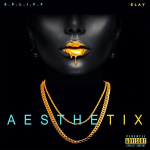 Aesthetix(feat. Elay) (Explicit)