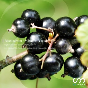 Blackcurrant