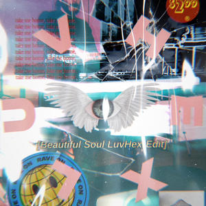Beautiful Soul (LuvHex Schranz Edit)