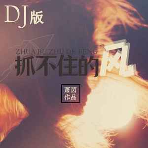 抓不住的风 (DJ版)