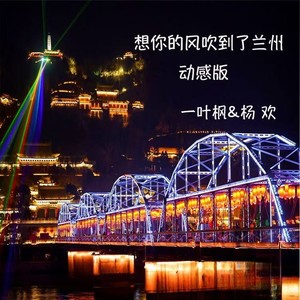 想你的风吹到了兰州动感版 (Remix)