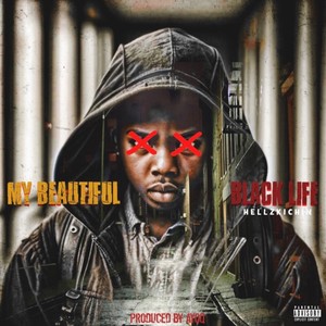 My Beautiful Black Life (Explicit)