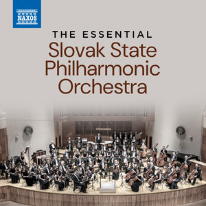 Violin Concerto No. 2 in G Minor, Op. 131 - Violin Concerto No. 2 in G Minor, Op. 131: No. 2, Adagio quasi andante
