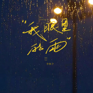 李林夕 - 我眼里的雨