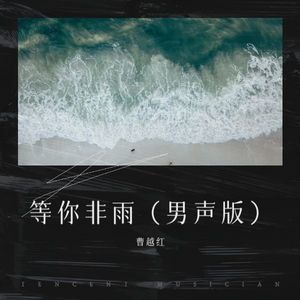 等你非雨 (男声新版)