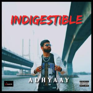 Indigestible (Explicit)