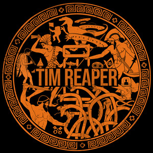 Wasting My Time (Tim Reaper Remix)