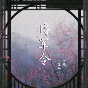将军令 (DJ heap九天版)封面