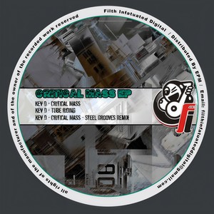Critical Mass (Steel Grooves Remix)