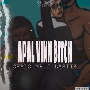 APAL VINN ***** (feat. ChaLo Mr.j LastiK)