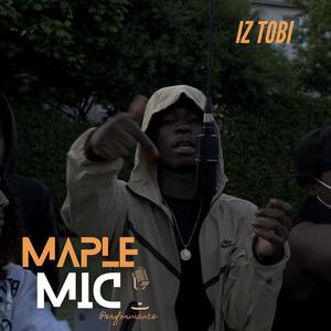 The Plan (Freestyle) (Explicit)