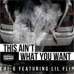 This Ain't What You Want (feat. Lil Flip) [Explicit]