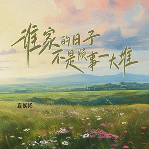 谁家的日子不是烦事一大堆 (DJ翊轩版)