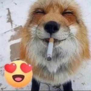 Ermm wat the flip (feat. Xiotomo) (Explicit)