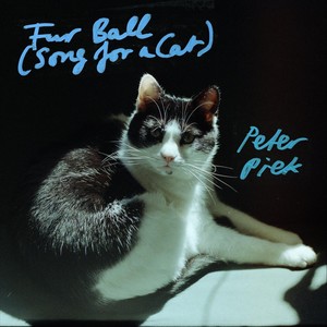Fur Ball (Song for a Cat)