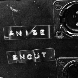 Anise Snout