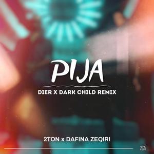 Pija (feat. 2Ton) (Remix)