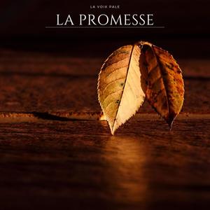 La Promesse (Explicit)