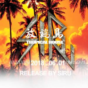 放鸡岛 (original mix)