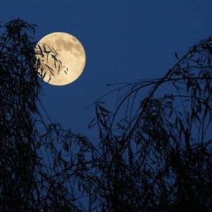 无眠者
