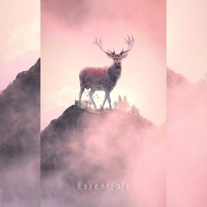 Essentials(feat. Hayrullah Yabatu & Serdar Özbaylar)