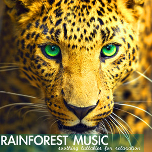 Rainforest Music - Soothing Lullabies for Relaxation, Relaxing Sounds of Nature Background