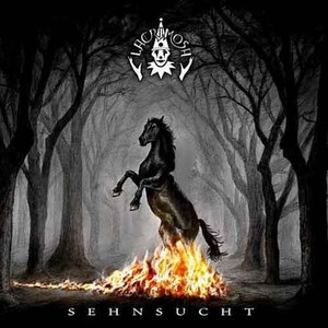 Die Sehnsucht in mir