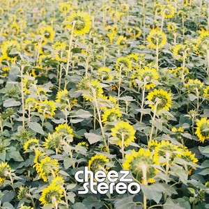 왜 그래 (New) (怎么了 (New))