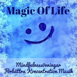 Magic Of Life - Mindfulnessövningar Förbättra Koncentration Självhypnos Musik med New Age Natur Instrumental Ljud