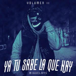 YA TU SABE LA QUE HAY VOL ll (Explicit)