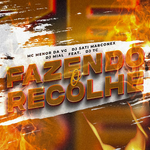 Fazendo o Recolhe (feat. Dj TC) [Explicit]