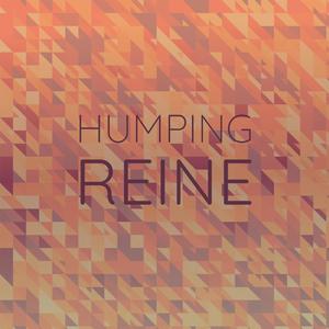 Humping Reine