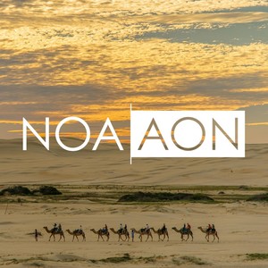 All or Non
