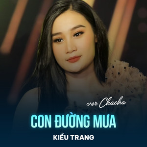 Con Đường Mưa (Disco)
