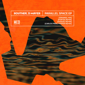 Parallel Space (Portek Remix)