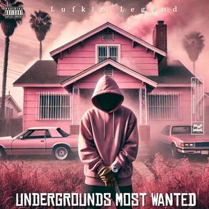 Do The Most (feat. Whyte Drip Ro, Tiffany Jeann, Zaquan Quan & CINAMADIC) (Explicit)