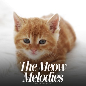 The Meow Melodies