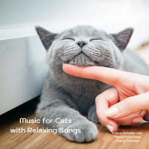 Music for Cats with Relaxing Songs