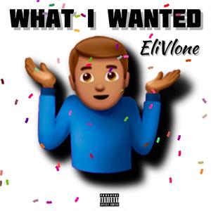 What I Wanted (Explicit)