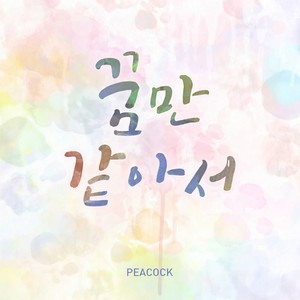 꿈만 같아서 (就像做梦一样)