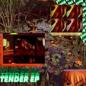 TENDER EP (Explicit)